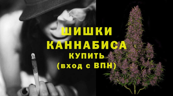 стаф Козловка