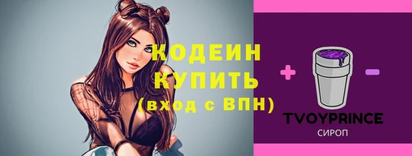 стаф Козловка