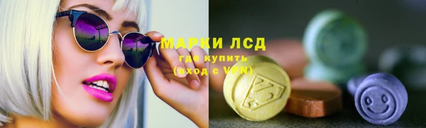 стаф Козловка