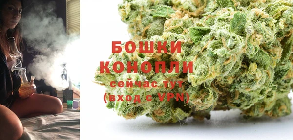 дмт Козельск