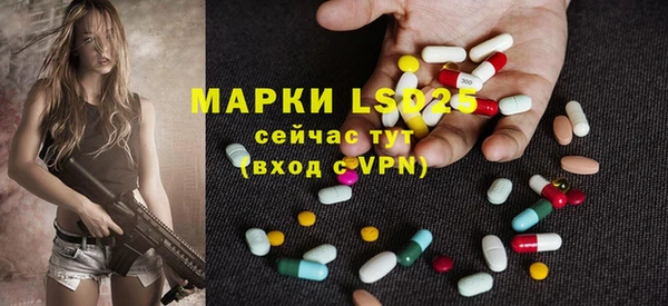 стаф Козловка