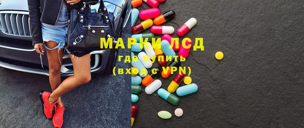 стаф Козловка