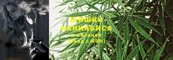 дмт Козельск