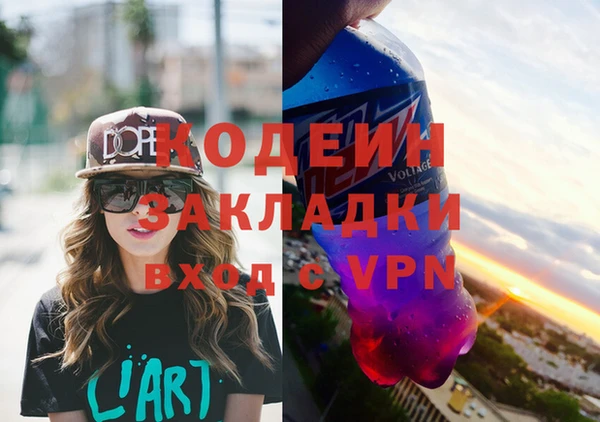 стаф Козловка